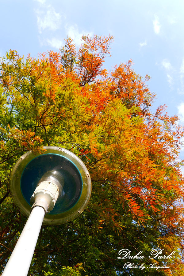 廖西瓜＠台北內湖大湖公園34