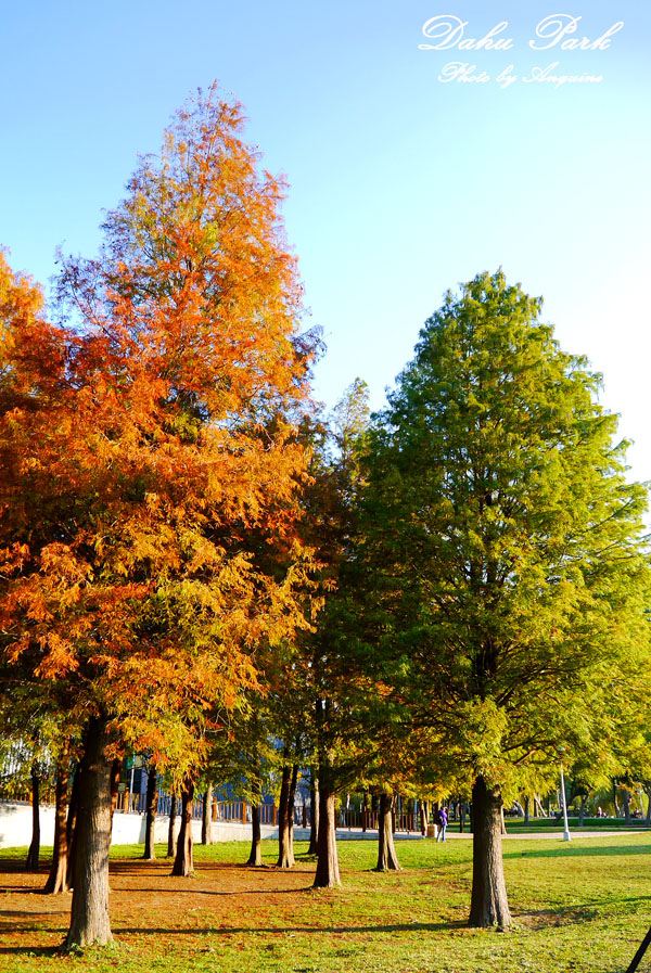廖西瓜＠台北內湖大湖公園18