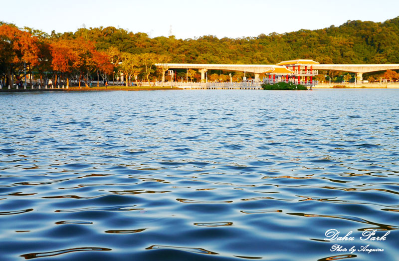 廖西瓜＠台北內湖大湖公園41