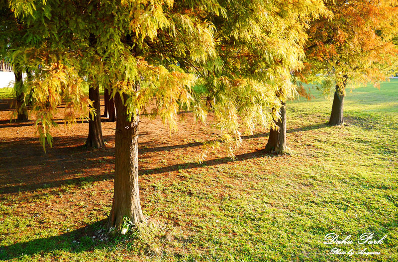 廖西瓜＠台北內湖大湖公園21