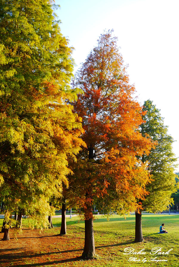 廖西瓜＠台北內湖大湖公園20
