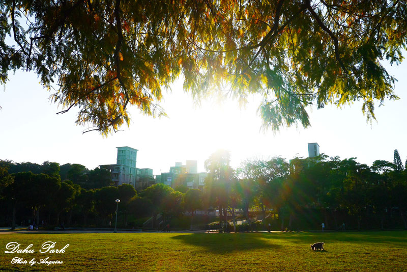 廖西瓜＠台北內湖大湖公園11