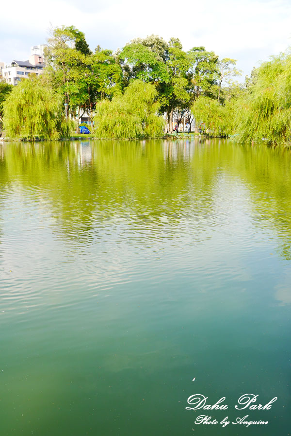 廖西瓜＠台北內湖大湖公園29