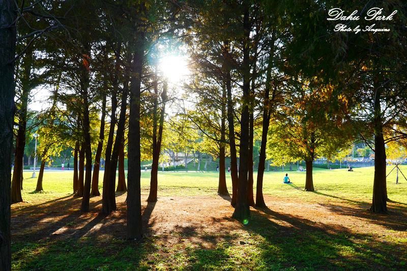 廖西瓜＠台北內湖大湖公園14
