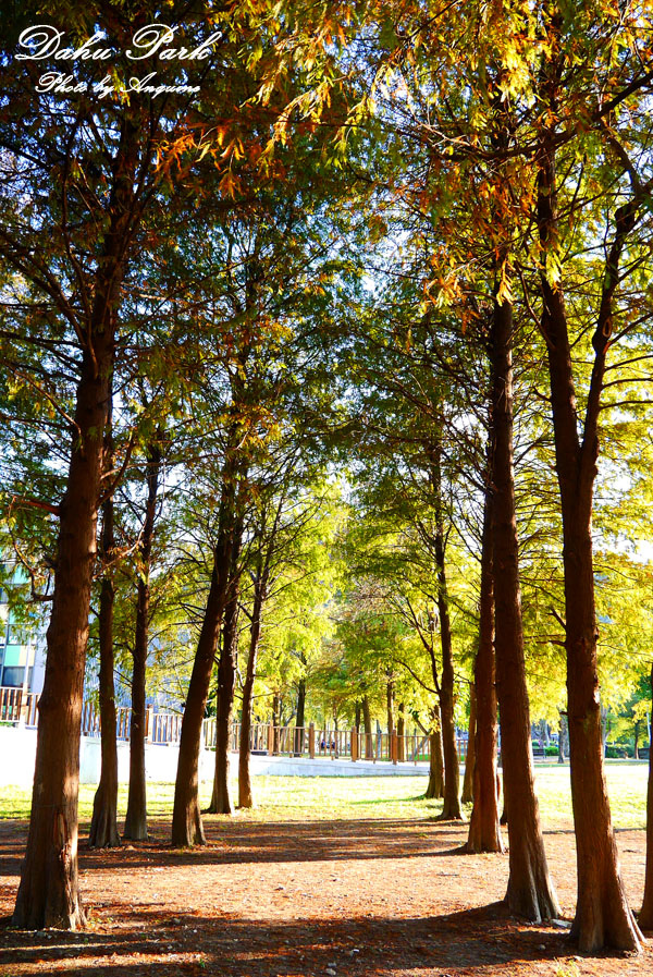 廖西瓜＠台北內湖大湖公園5