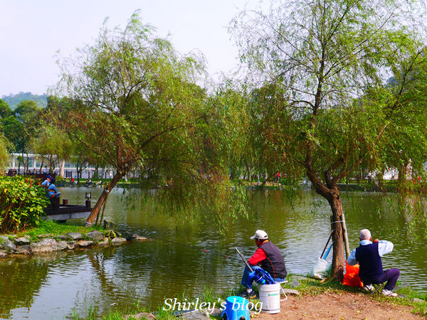 大湖公園：大湖公園閒散