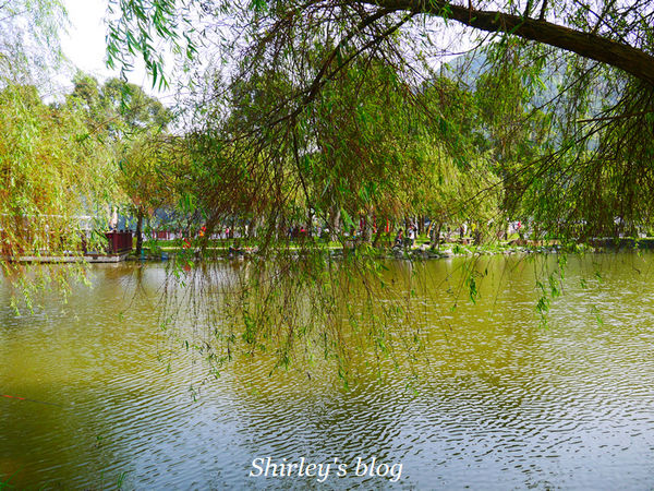 大湖公園：大湖公園閒散