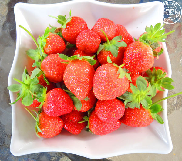 莓圃觀光休閒農園：作伙來企投【台北內湖･莓圃休閒觀光農園】庭園咖啡吃草莓料理