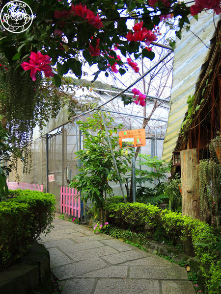 莓圃觀光休閒農園：作伙來企投【台北內湖･莓圃休閒觀光農園】庭園咖啡吃草莓料理