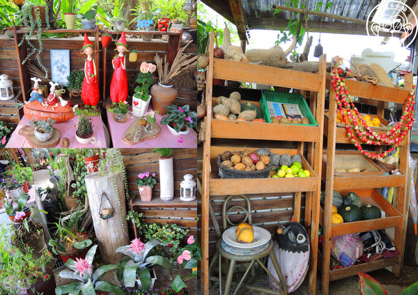 莓圃觀光休閒農園：作伙來企投【台北內湖･莓圃休閒觀光農園】庭園咖啡吃草莓料理