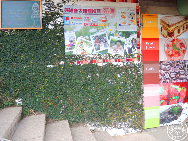 莓圃觀光休閒農園：作伙來企投【台北內湖･莓圃休閒觀光農園】庭園咖啡吃草莓料理