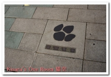 貓空纜車:初搭貓纜