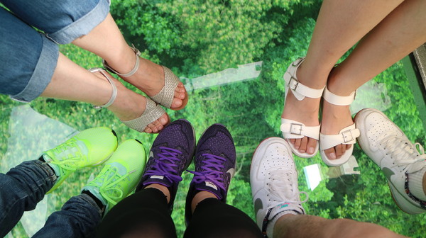 貓纜之眼：【台北旅遊】貓空纜車初體驗，水晶車廂超讚!