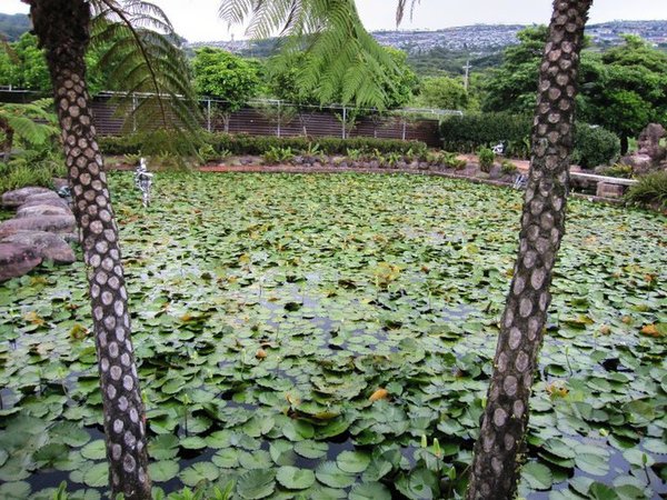 朱銘美術館:朱銘美術館 - 與大自然結合的藝術之旅