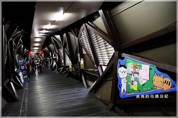 猴硐貓村：【新北】瑞芳區。猴硐車站 猴硐貓村