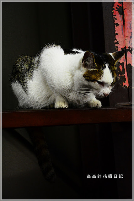 猴硐貓村：【新北】瑞芳區。猴硐車站 猴硐貓村