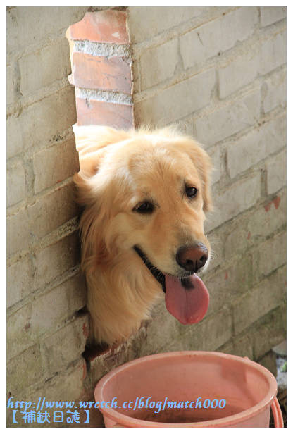 nEO_IMG_IMG_6810 border=