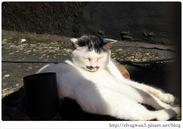 鐵道一日遊-平溪線鐵道之旅-猴硐車站-貓村-貓掌屋-小彩繪村-煤礦博物園區-貓咪鳳梨酥-Hou Tong-黑鼻-平溪天燈節-十分車站-天燈-孔明燈-四色天燈-十分老街-靜安吊橋-十分瀑布-眼鏡洞-榕樹下米粉湯-胡家天燈-元宵節-18-267-1