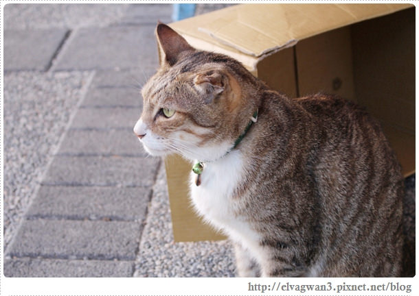 鐵道一日遊-平溪線鐵道之旅-猴硐車站-貓村-貓掌屋-小彩繪村-煤礦博物園區-貓咪鳳梨酥-Hou Tong-黑鼻-平溪天燈節-十分車站-天燈-孔明燈-四色天燈-十分老街-靜安吊橋-十分瀑布-眼鏡洞-榕樹下米粉湯-胡家天燈-元宵節-17-260-1