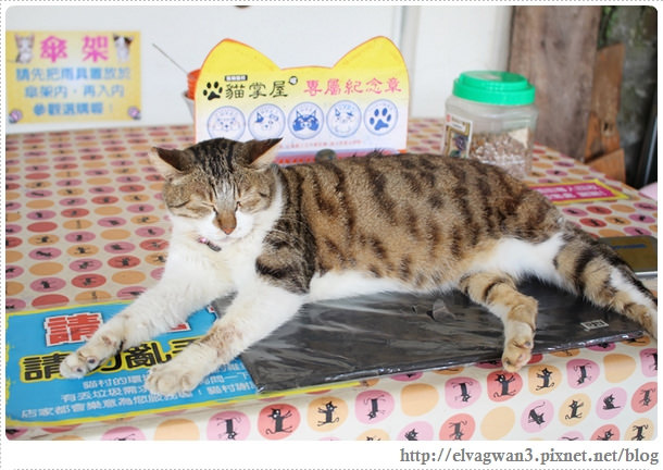 鐵道一日遊-平溪線鐵道之旅-猴硐車站-貓村-貓掌屋-小彩繪村-煤礦博物園區-貓咪鳳梨酥-Hou Tong-黑鼻-平溪天燈節-十分車站-天燈-孔明燈-四色天燈-十分老街-靜安吊橋-十分瀑布-眼鏡洞-榕樹下米粉湯-胡家天燈-元宵節-25-321-1