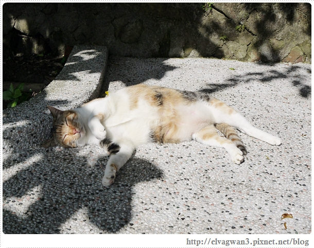 鐵道一日遊-平溪線鐵道之旅-猴硐車站-貓村-貓掌屋-小彩繪村-煤礦博物園區-貓咪鳳梨酥-Hou Tong-黑鼻-平溪天燈節-十分車站-天燈-孔明燈-四色天燈-十分老街-靜安吊橋-十分瀑布-眼鏡洞-榕樹下米粉湯-胡家天燈-元宵節-11-267-1