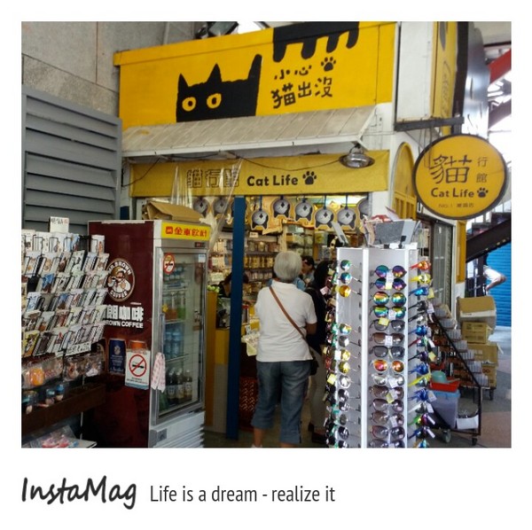 猴硐貓村：【新北市景點】打造完美的貓境物語~猴硐貓村