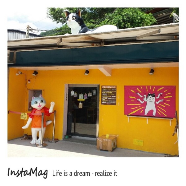 猴硐貓村：【新北市景點】打造完美的貓境物語~猴硐貓村