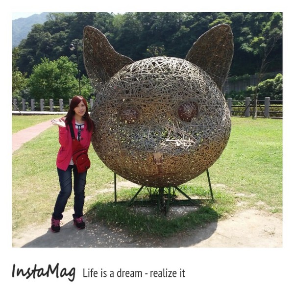 猴硐貓村：【新北市景點】打造完美的貓境物語~猴硐貓村