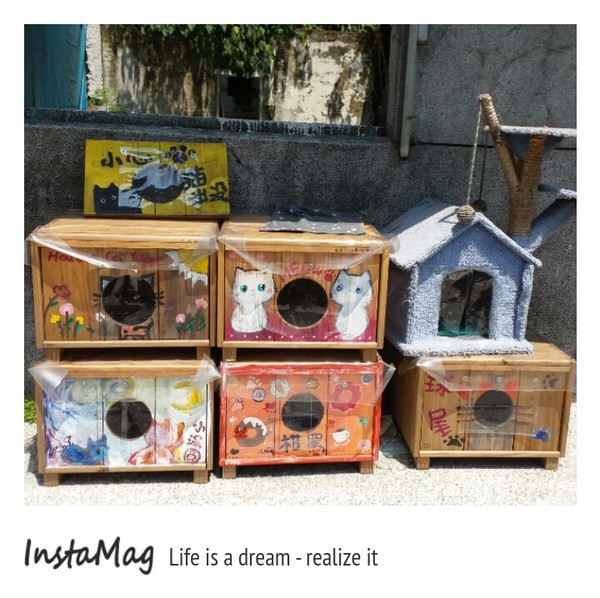 猴硐貓村：【新北市景點】打造完美的貓境物語~猴硐貓村