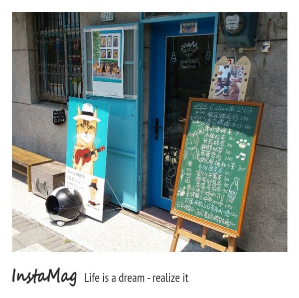 猴硐貓村：【新北市景點】打造完美的貓境物語~猴硐貓村