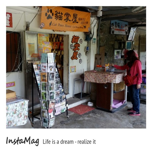 猴硐貓村：【新北市景點】打造完美的貓境物語~猴硐貓村