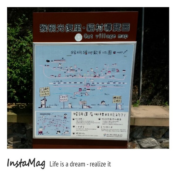 猴硐貓村：【新北市景點】打造完美的貓境物語~猴硐貓村