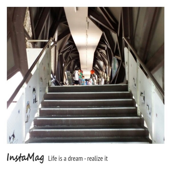 猴硐貓村：【新北市景點】打造完美的貓境物語~猴硐貓村