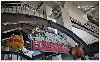 侯硐貓村-9