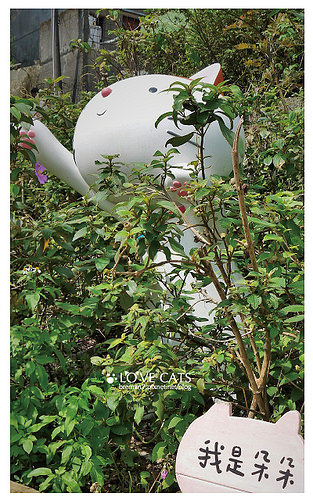 侯硐貓村-16