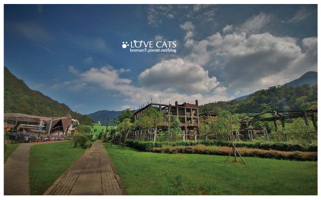 侯硐貓村-47