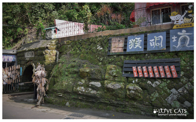 侯硐貓村-38