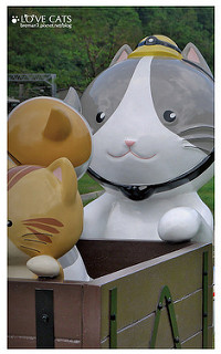 侯硐貓村-33