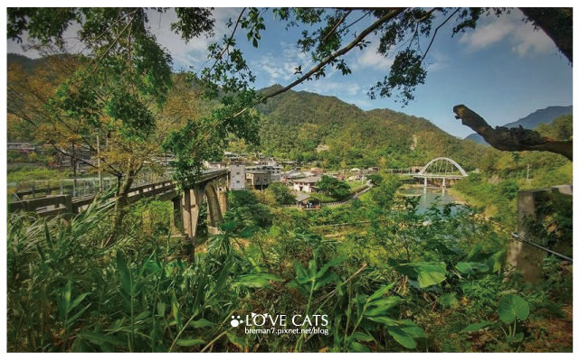 侯硐貓村-49