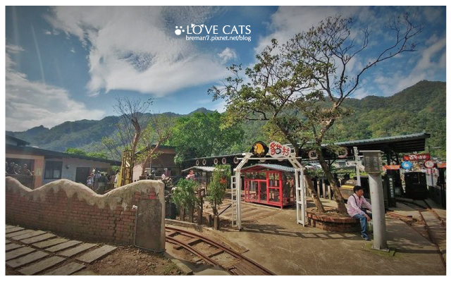 侯硐貓村-58