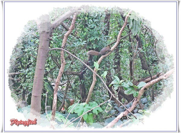 九份老街：  ✜走走逛逛九份景點+小吃輕旅行【上】:黃金博物館園區+金瓜石太子賓館+九份老街<魚丸伯仔/九份紅糟肉圓/金枝紅糟