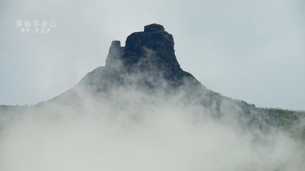 茶壺山芒花
