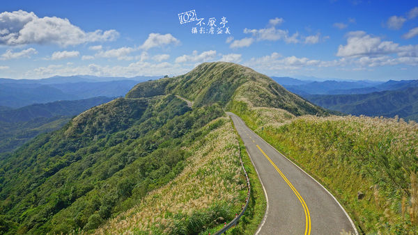 102線道 不厭亭芒花