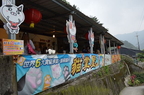 猴洞貓村39