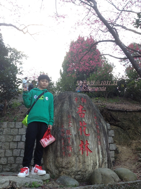 8木柵老泉里杏花林.望遠亭