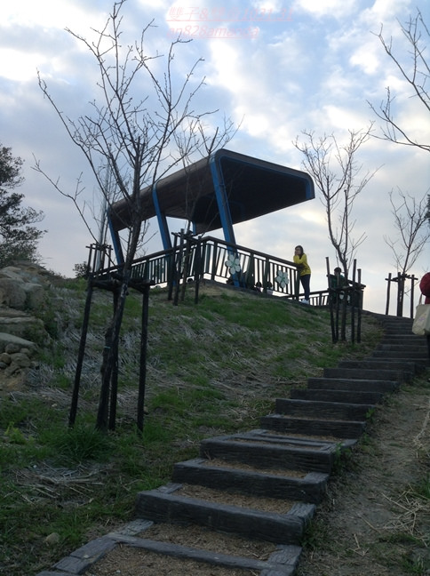 19木柵老泉里杏花林.望遠亭