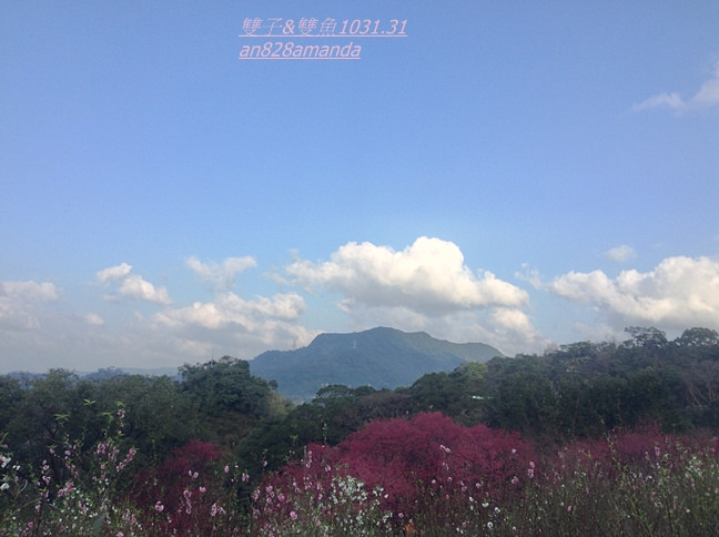 24木柵老泉里杏花林.望遠亭