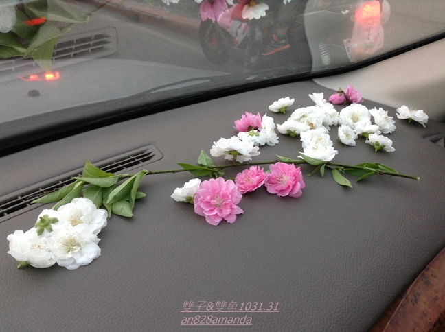 23木柵老泉里杏花林.望遠亭