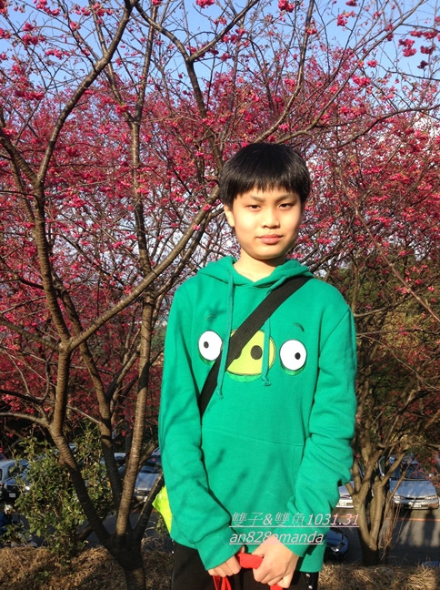 12木柵老泉里杏花林.望遠亭