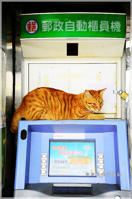 十分車站:【新北】平溪區。十分車站 十分老街